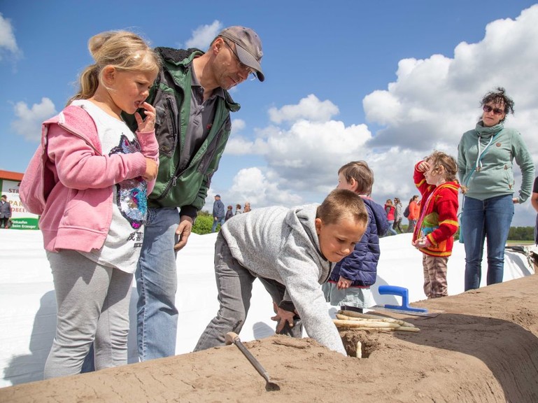 Bilder Stadtfest