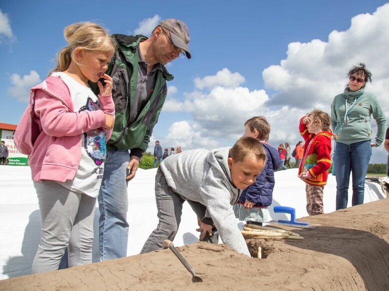 Bilder Stadtfest