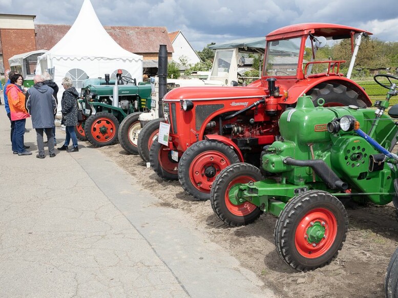 Bilder Stadtfest