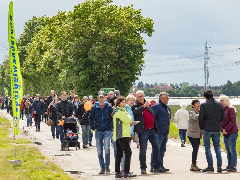 Bilder Stadtfest