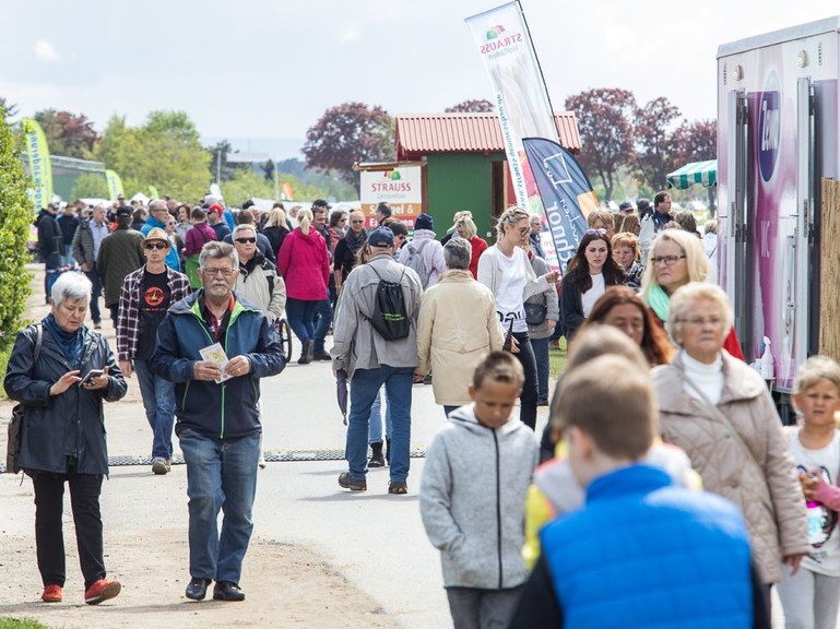 Bilder Stadtfest